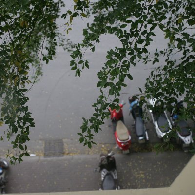 NguyenT36063968's profile picture. 