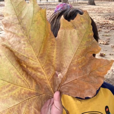 multipurpose's profile picture. 