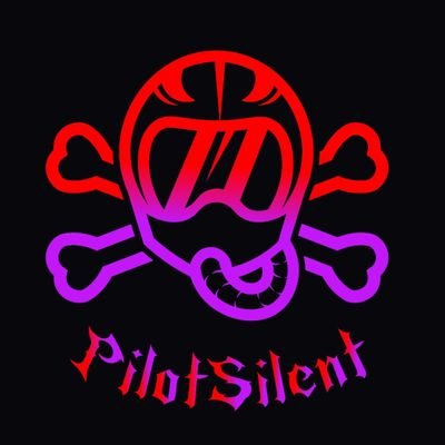 Pilotsilent Profile