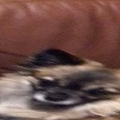 ManixItz's profile picture. 