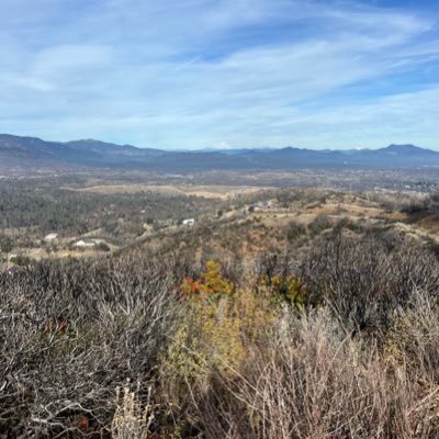 DebusKristian's profile picture. 