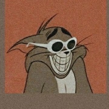 A1rsph1nx's profile picture. lmao