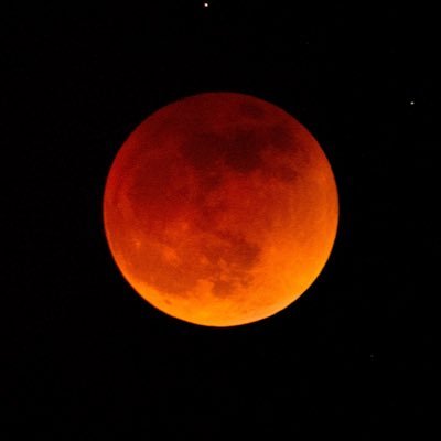 tadghscribbles's profile picture. “We can’t stop here, this is bat country!”