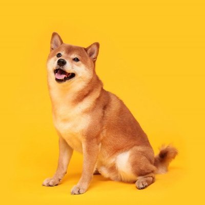 hourly_shibe Profile Picture