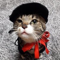 W (@w2000hf) 's Twitter Profile