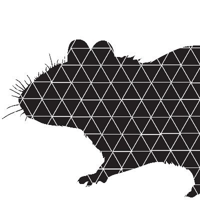 tessellatedrat's profile picture. dissectologist | long distance runner | perpetual student | quality professional | minimalist | Interests: hyper-productivity, longevity and AI