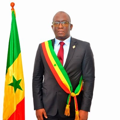 Député a l'Assemblee nationale du Senegal
Président de la Commission des Délégations 

Juriste de l'environnement, eau, énergie et développement durable