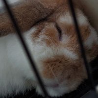 teiru.com (@teiru_com) 's Twitter Profile