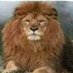 Pride of the Lion (@Rebecca3Roxy) Twitter profile photo