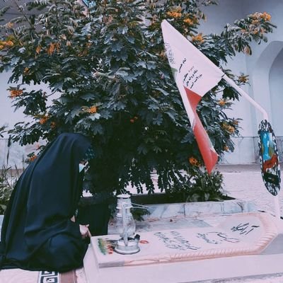 M_Hajihoseini's profile picture. در مسیر تعلیم و تعلم