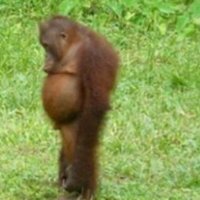 Pedro Blanco (@pedrolpz_) 's Twitter Profile