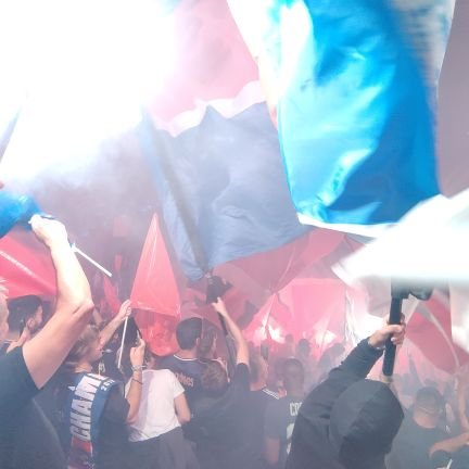 cedcoul's profile picture. Scientist and football fan ;)