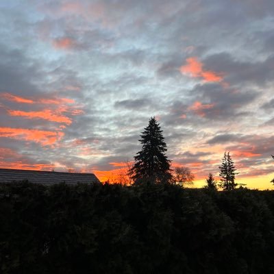 pnwlena's profile picture. 