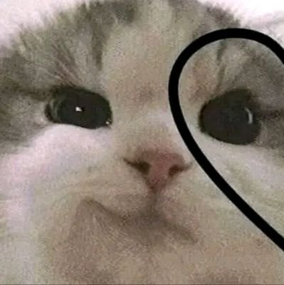 Quien Juzga Tú Vida, Es Por Que No Es Feliz Con La De Ella ❄️