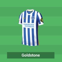 FPL_Goldstone(@FPL_Goldstone) 's Twitter Profile Photo