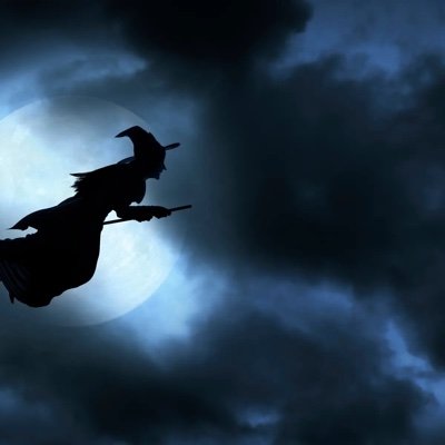 rheaspringle's profile picture. hello.