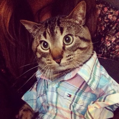 BeeVee208's profile picture. When justice is denied, it breeds rebellion. 

I don't think "leadership" on either side realize how close we are.  Enforce the law before it's too late.