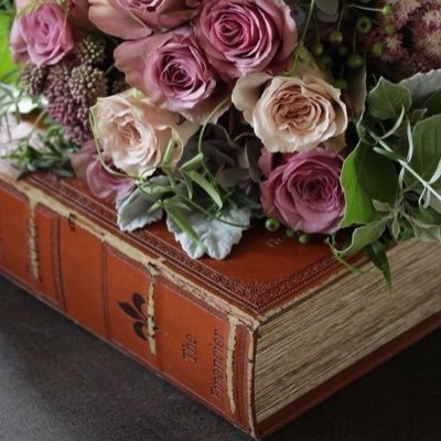 dearreader99's profile picture. 