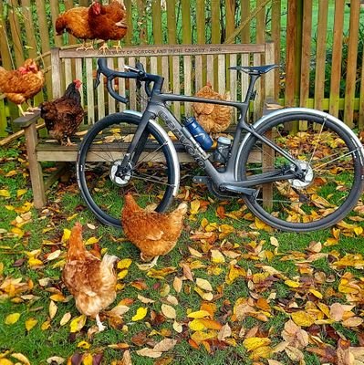 PaulbBuffer56's profile picture. Love Cycling, Hate cars taking up all the road space, why can't we have no food banks and loads of NHS beds.