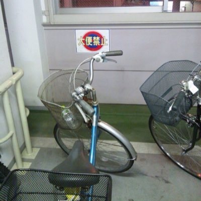 昆虫食、SDGs、レジ袋有料化、紙ストロー…