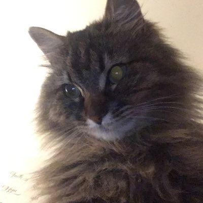 Magwheels420's profile picture. I love my Pussy!!