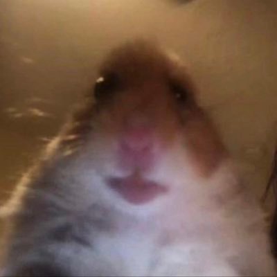 DudleyVakauta's profile picture. 