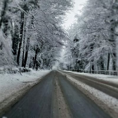 thebirchfields's profile picture. Radio Amateur.