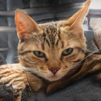 Sandra Chavez (@sandrac16545502) 's Twitter Profile