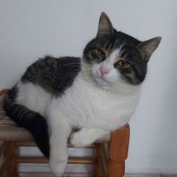 Betül Uzun (@betul_uzun5) 's Twitter Profile Photo Betül Uzun (@betul_uzun5) 's Twitter Profile Photo