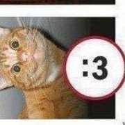 mud_slushie's profile picture. eat sleep twerk repeat @silly_kittiez