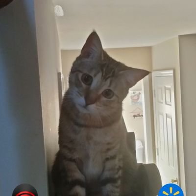 Cmk651's profile picture. 