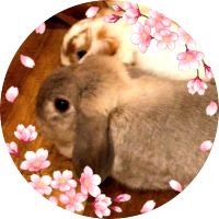 野生のさくさく (@lawnmacaron) 's Twitter Profile