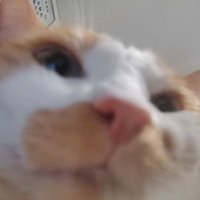 Exiles Von Muerte ︽✵︽ (@exilesvondoom) 's Twitter Profile
