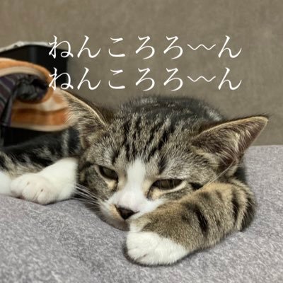 🍐白水(はくすい)さんのプロフィール画像