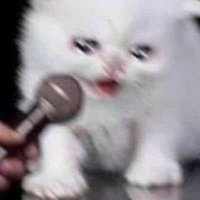 solfelinus's profile picture. 23 | multi (mostly girl groups)