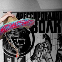 чел (@hupthfuu) 's Twitter Profile