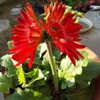 ひろ (@6c9fq3i4xtbukrp) Twitter profile photo