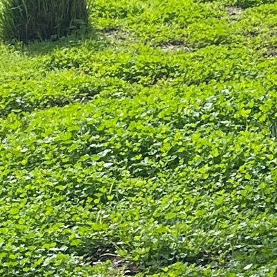 idkkkkk_dwga's profile picture. 