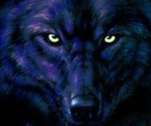 BlackWolfTactic's profile picture. 