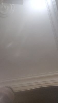 Tito57453929's profile picture. 