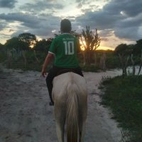 Victor Bilionário (@victor_aeaf) 's Twitter Profile