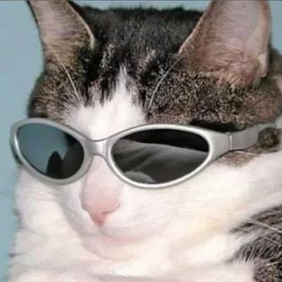 gatoliberalista Profile Picture