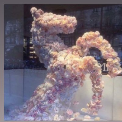 juju_alibrahim's profile picture. 