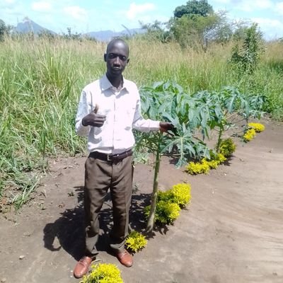 Okecho13's profile picture.