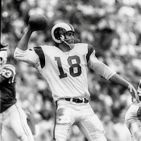 Roman Gabriel for Pro Football Hall of Fame(@RGabriel4HOF) 's Twitter Profile Photo