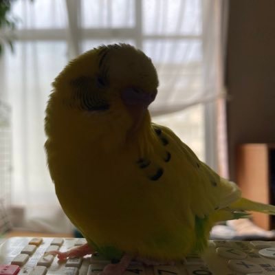 首さんのプロフィール画像
