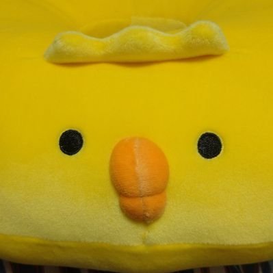 azusa⭐️フォロー割開催中⭐️ あずしゃー (@azusa7mc) / Posts / X