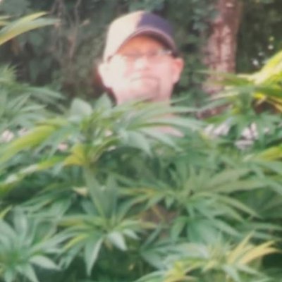 MrJ30102550's profile picture. hello  I'm generation x I'm all about the weed smoke and the kinky sex...