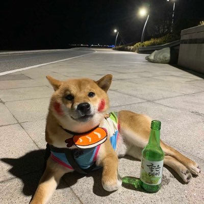 DrawingPenguinn's profile picture. 