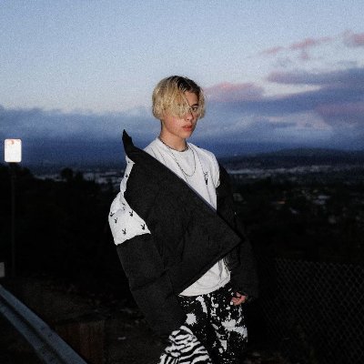 gavinmagnus23's profile picture. yo song righter boxer singer dancer